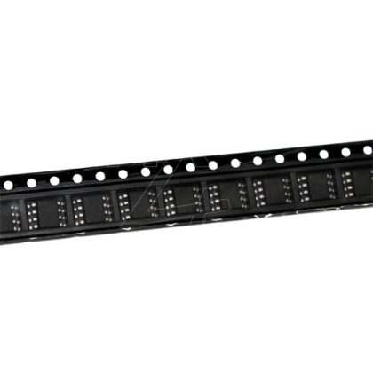 WS2818 Controller IC